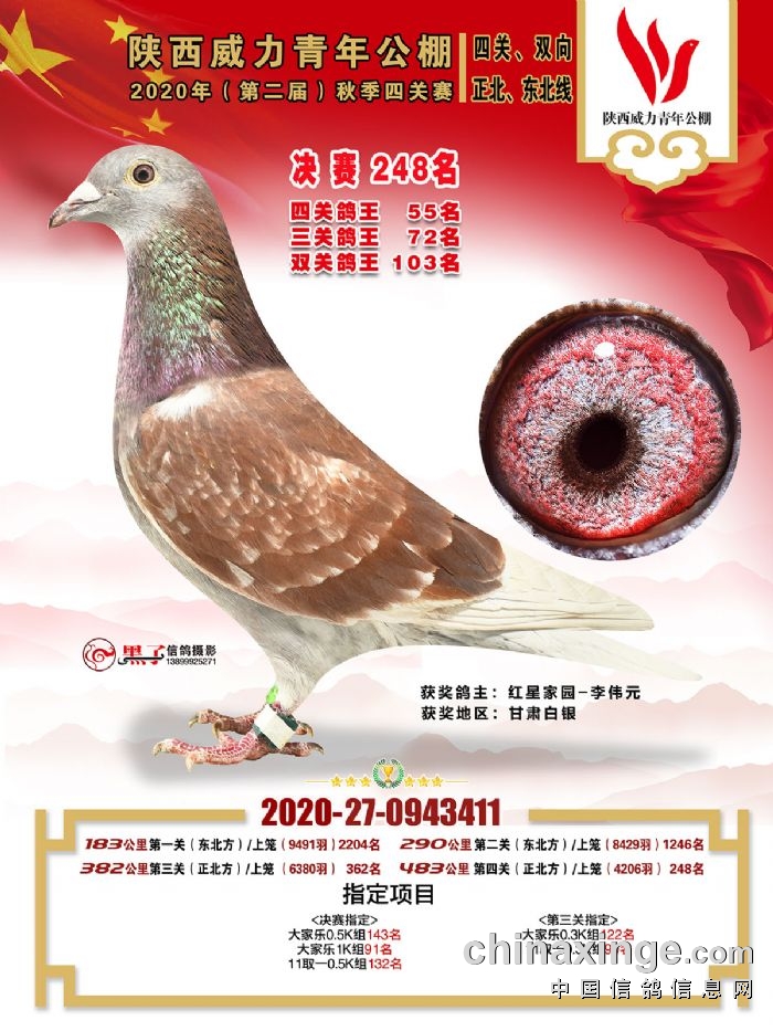 陕西威力青年公棚2020年获奖鸽图集221名-250名