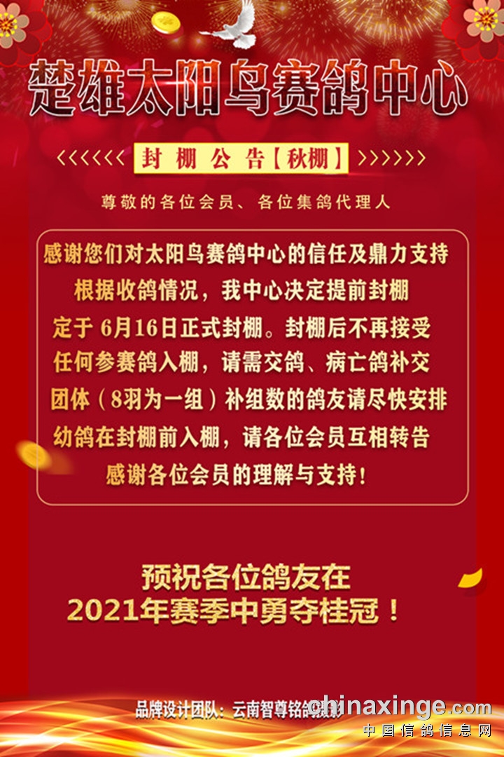 太阳鸟:封棚通知 - 楚雄太阳鸟赛鸽中心秋棚小棚 - 网