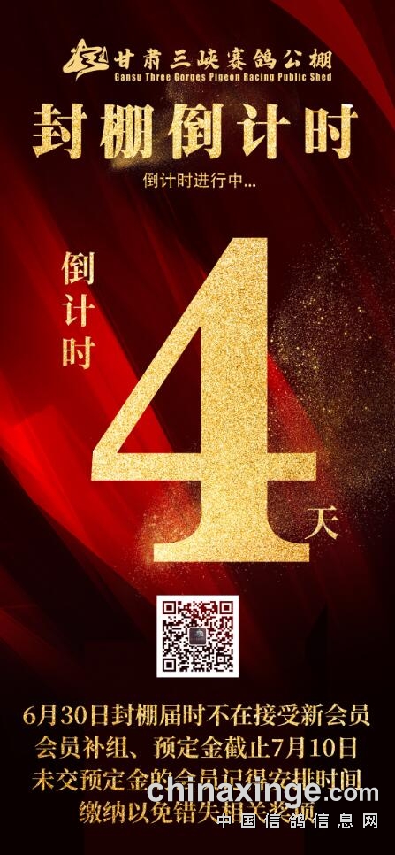 甘肃三峡赛鸽公棚封棚倒计时4天