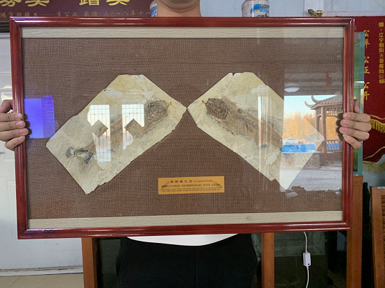 http://gpimg.chinaxinge.com/pic5/202107/20210721222918654002.png