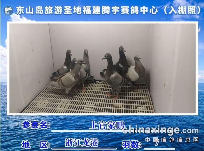 福建省东山岛旅游圣地腾宇赛鸽中心10月2日2入棚照及收鸽清单