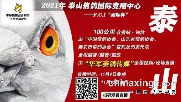 已阅读5723次2021-11-9 20:02:35泰山信鸽国际竞翔中心鸽具用品展售