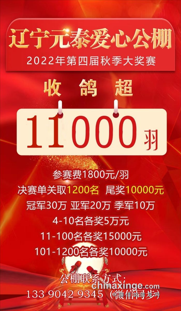 热烈庆祝辽宁元泰公棚6月7日收鸽羽数已突破11000羽- 辽宁省绥中县元泰信鸽爱心公棚- 中信网各地公棚