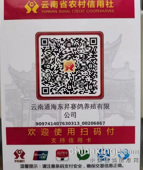 （注：扫码支付及银行转账请截图发到收款微信核对） 码