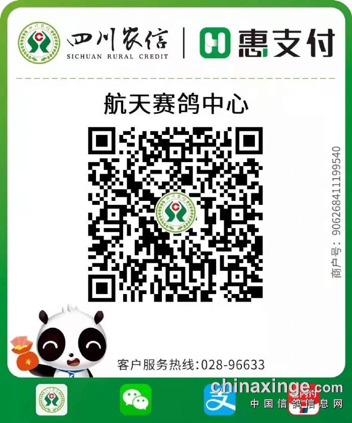 QR 代码描述已自动生成