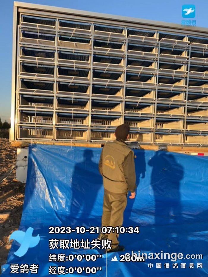 探索2023年最新电视剧推荐