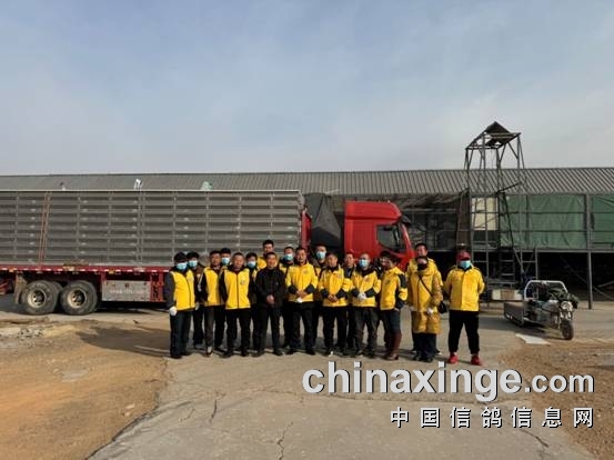 http://gpimg.chinaxinge.com/pic5/202501/2025012117065997037004.jpg