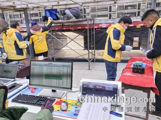 http://gpimg.chinaxinge.com/pic5/202501/2025012117065951378005.jpg