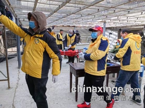 http://gpimg.chinaxinge.com/pic5/202501/2025012117070024127007.jpg