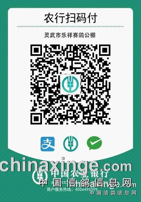https://gpimg.chinaxinge.com/pic5/202402/2024021413152192892001.png