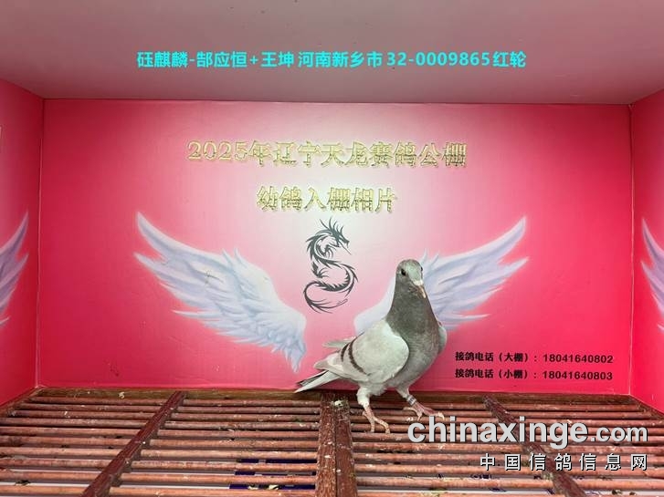 http://gpimg.chinaxinge.com/pic5/202505/2025051909214226549001.jpg