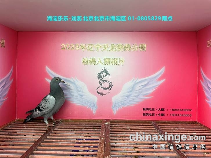 http://gpimg.chinaxinge.com/pic5/202505/2025051909214280903002.jpg