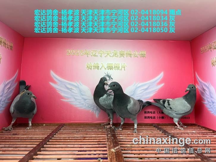 http://gpimg.chinaxinge.com/pic5/202505/2025051909214372736003.jpg