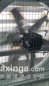 be103785f8e8149120e85c5c7965671a