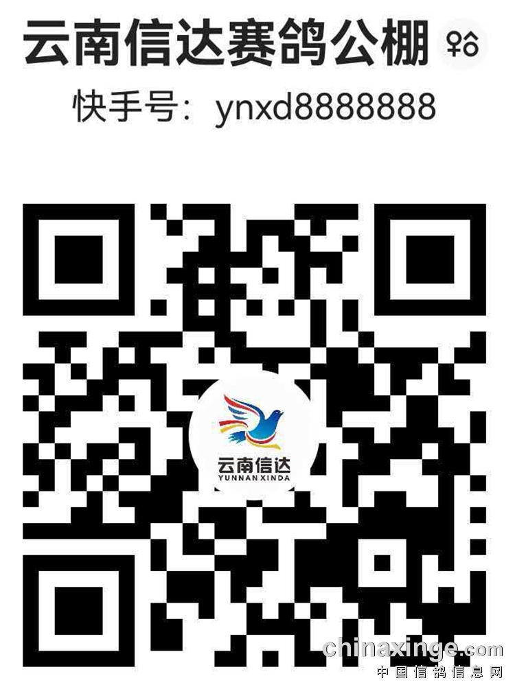 �鳲��ֱ����ά��