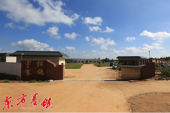 誓为鸽友写春秋 - 云南石林宇松赛鸽中心春棚 - 中信网各地公棚