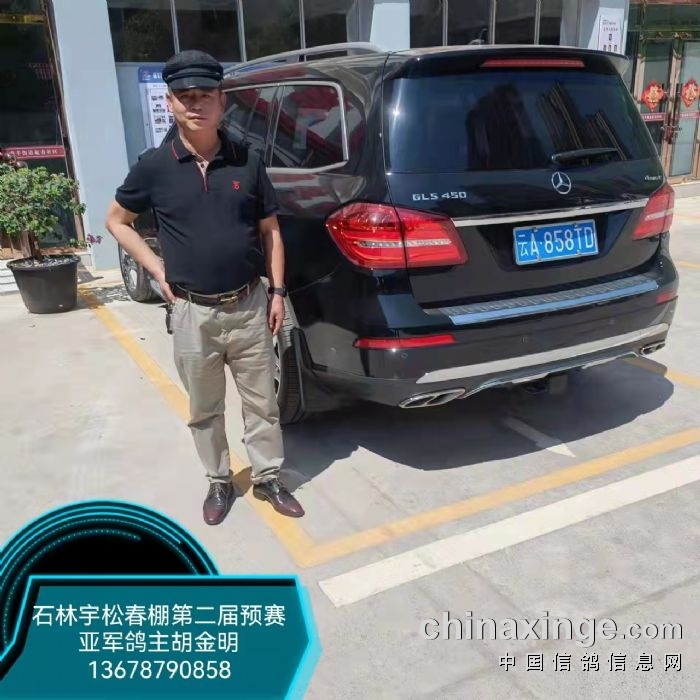 云南石林宇松赛鸽中心春棚 - 中信网各地公棚