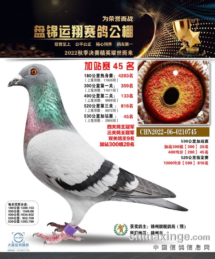 如果此页面是训放清单,要想快速查询鸽环号,请按ctrl f然后输入您要
