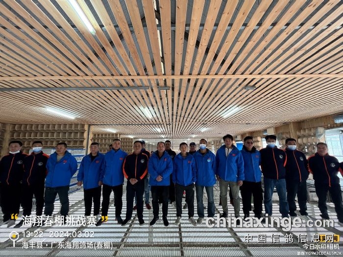 广东海翔(春棚)挑战赛520-560公里集鸽羽数:1027羽_公棚动态_广东海翔