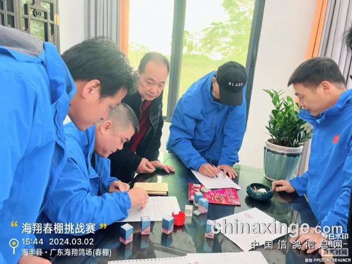 广东海翔(春棚)挑战赛520-560公里集鸽羽数:1027羽_公棚动态_广东海翔