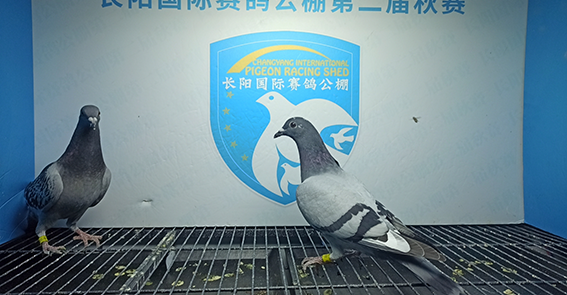 孙岭河南省开封市禹王台区13-0133222雨点孙岭河南省开封市禹王台区13