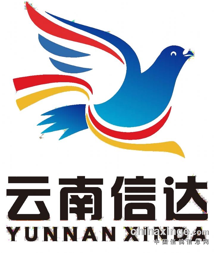 �����Ŵ﹫��LOGO